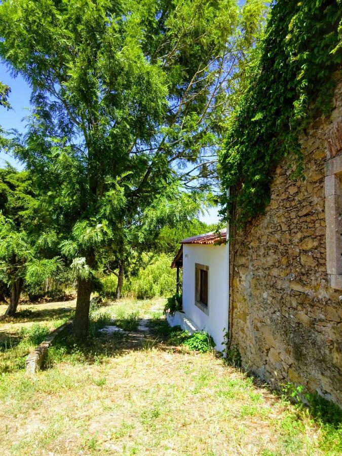 Quinta Da Galeana Dreaming Bed and Breakfast Lourinhã Exteriör bild