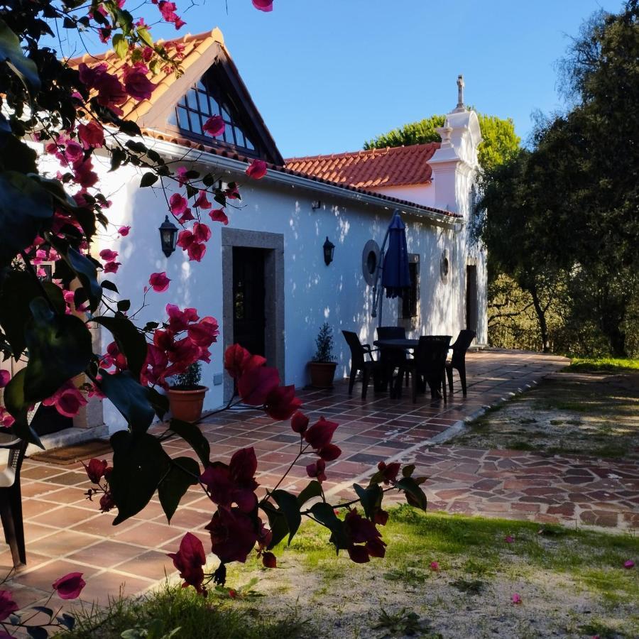 Quinta Da Galeana Dreaming Bed and Breakfast Lourinhã Exteriör bild